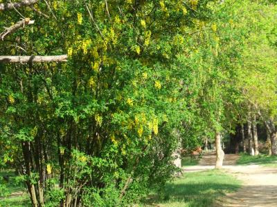 Прикрепленное изображение: bb1.jpg